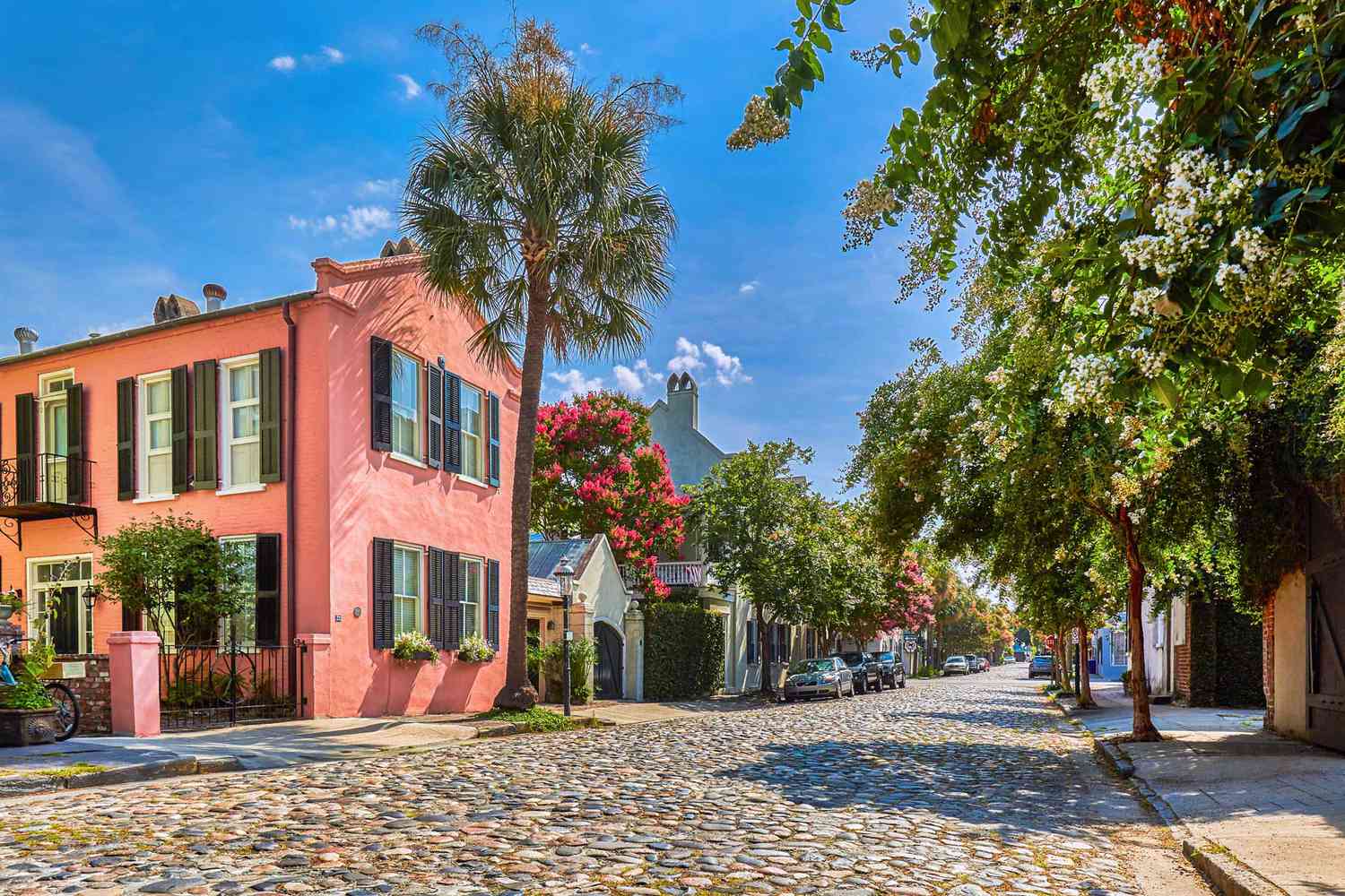 Maisons colorées et palmiers à Charleston, en Caroline du Sud, élue l'une des meilleures villes du monde