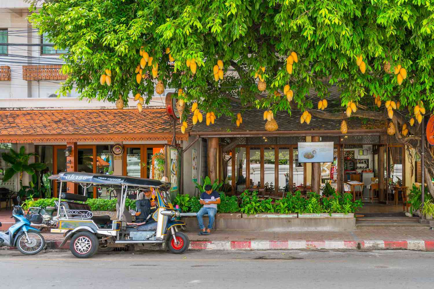 Tuk Tuk dans la rue à Chiang May, Thaïlande