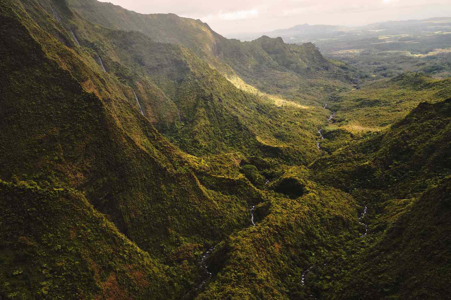 Paysage vert de canyon sur l'île de Kauai