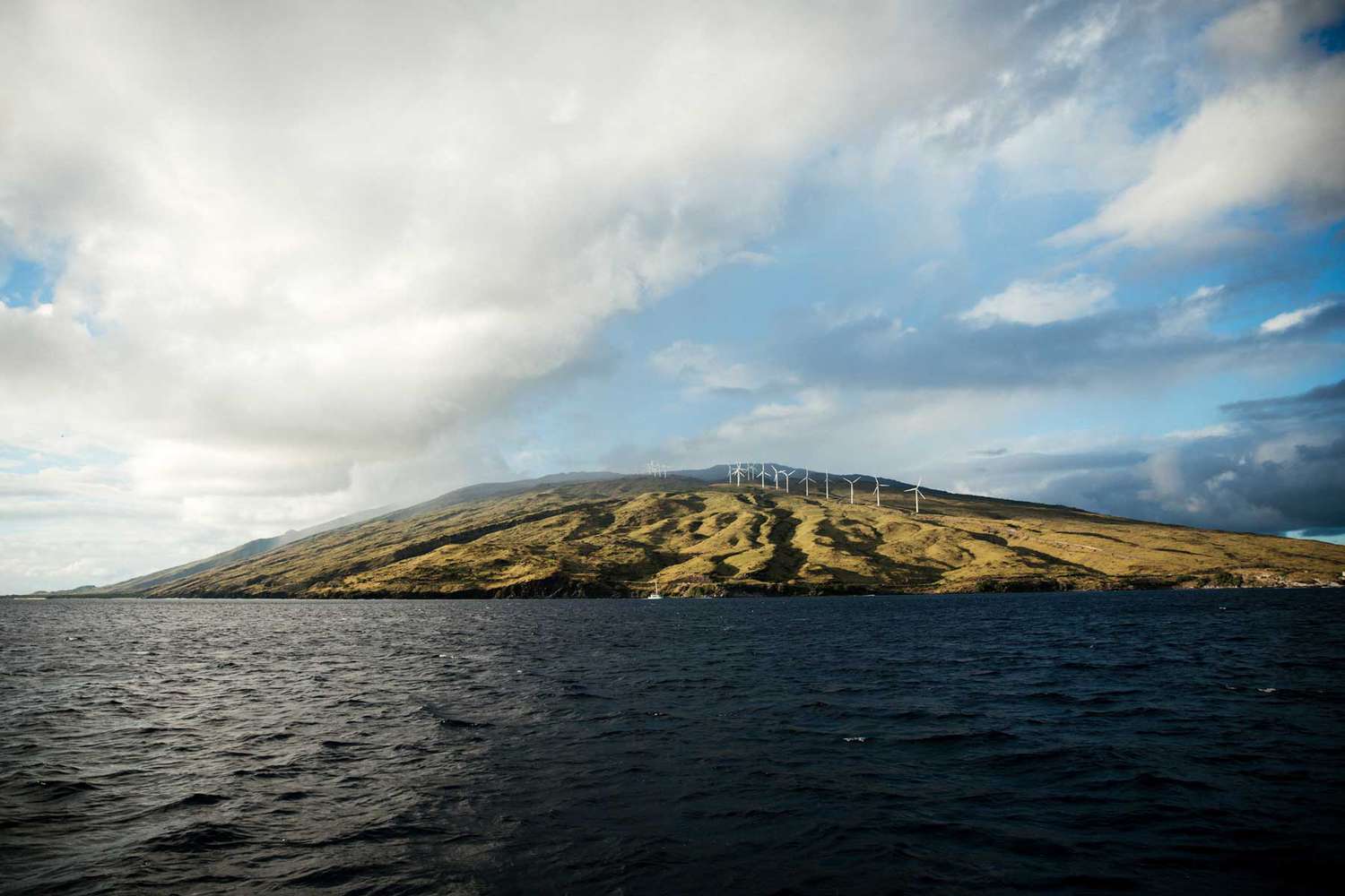 Vue des éoliennes sur l'île hawaïenne de Maui