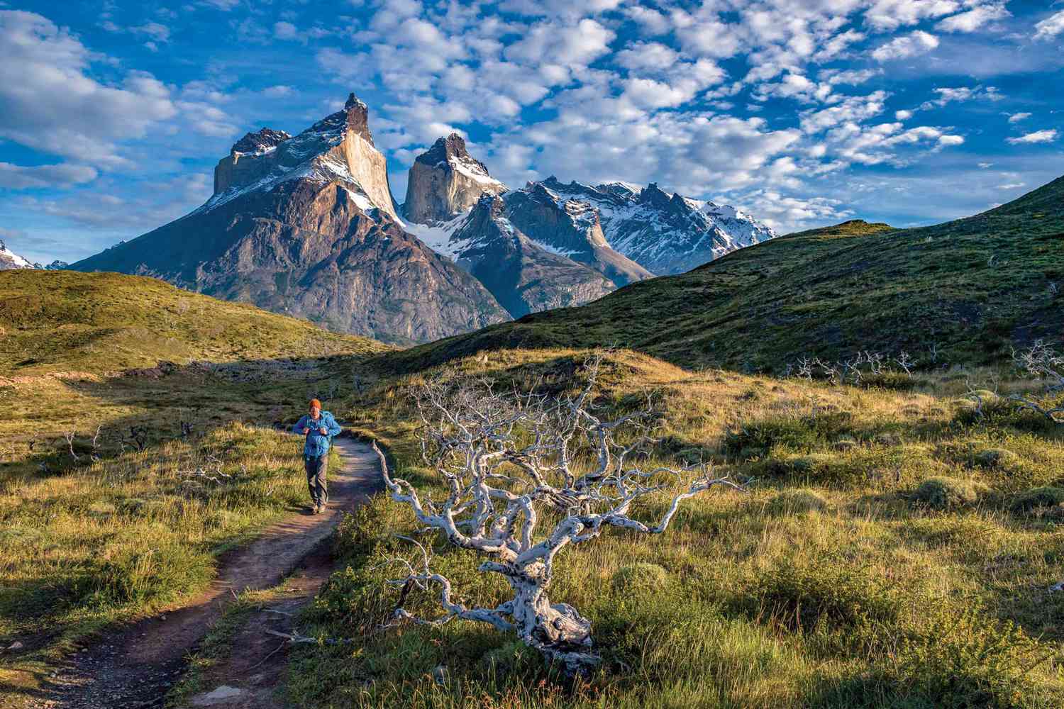 Randonnée en Patagonie avec Wilderness Travel, élu l'un des meilleurs tour-opérateurs au monde