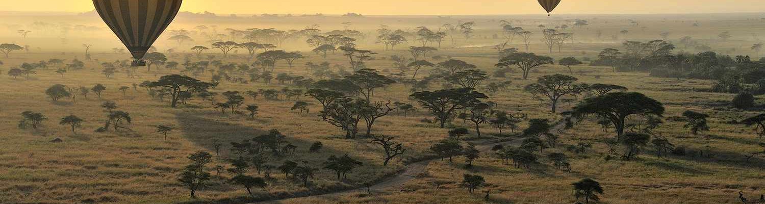 lead-serengeti-national-park-tanzania-AFRICAPARKS0521-94241d1f7bfc478e808938d460a97e60.jpg