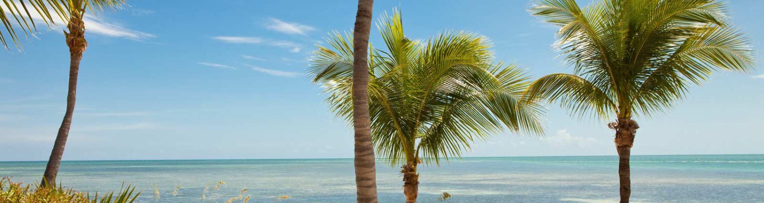 little-palm-island-beach-ALLIN1216-0348d40f2f75421694d9db8beae4c8cd.jpg
