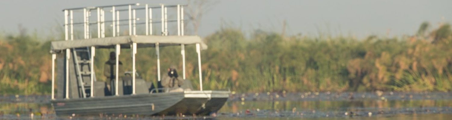 safari-au-delta-de-lokavango