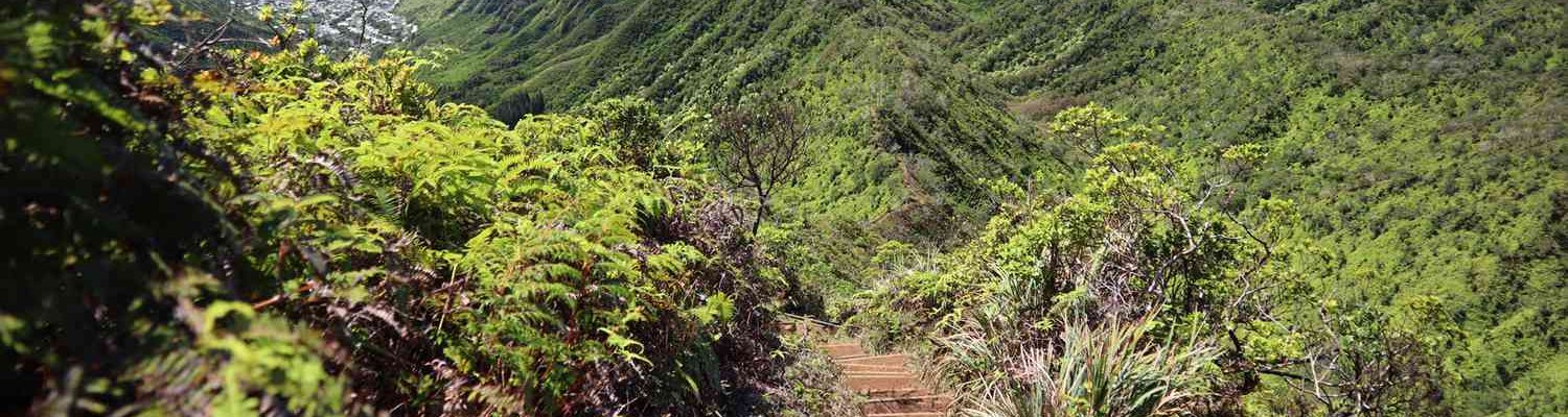 wiliwilinui-hiking-trail-hawaii-OAHUCROWDS1120-0e14bdc1c875403cb05c47bb20d3c886.jpg